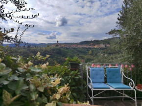 PETTOCANNELLA Massa E Cozzile